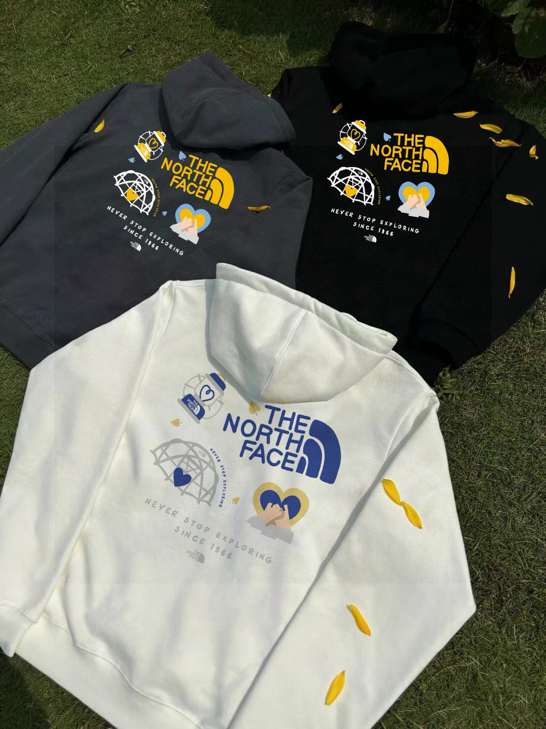 The North Face Hoodie — 93cf4017 Angle 1