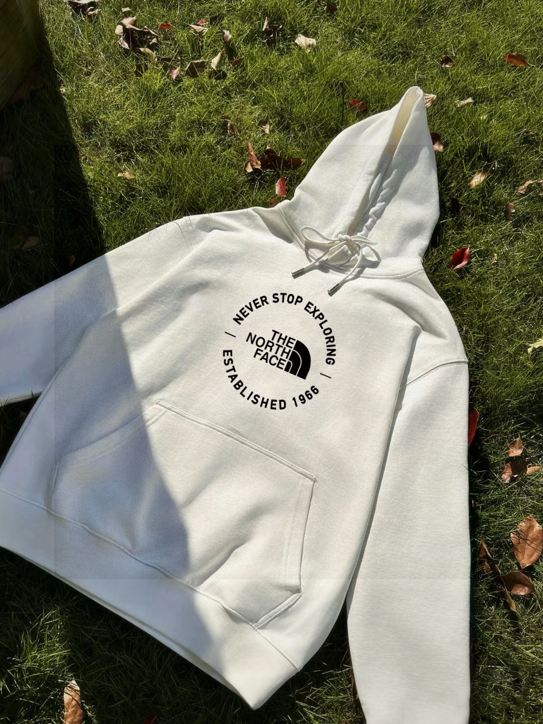 The North Face Hoodie — a0ea7b4f angle 1
