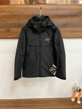 Arc'teryx Hoodie — 2de3a8f3