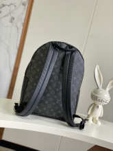 Designer Bags Backpack — M22545-1