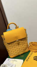 Designer Bags Goyard — 247