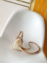 Designer Bags Louis Vuitton — M29030-1