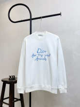 Dior Hoodie — bab96a0e