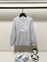 Loewe Hoodie — 3fdb6971