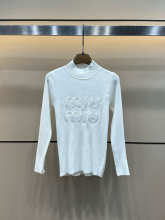 Miu Miu Hoodie — cbaba35c