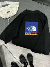 The North Face Hoodie — 603e606f