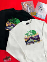 The North Face Hoodie — d3f8672d